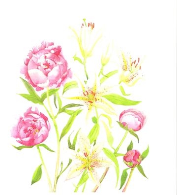 Lilies and Peonies